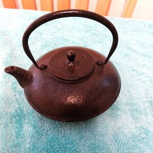 Tetsubin Vintage Cast Iron Tea Pot